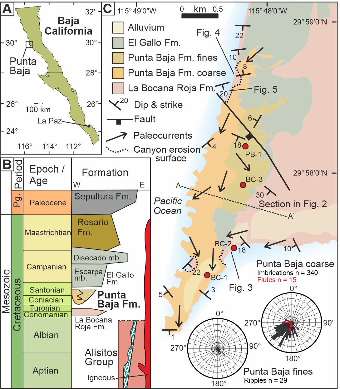 Key fossil-bearing outcrops that have previously suffered from